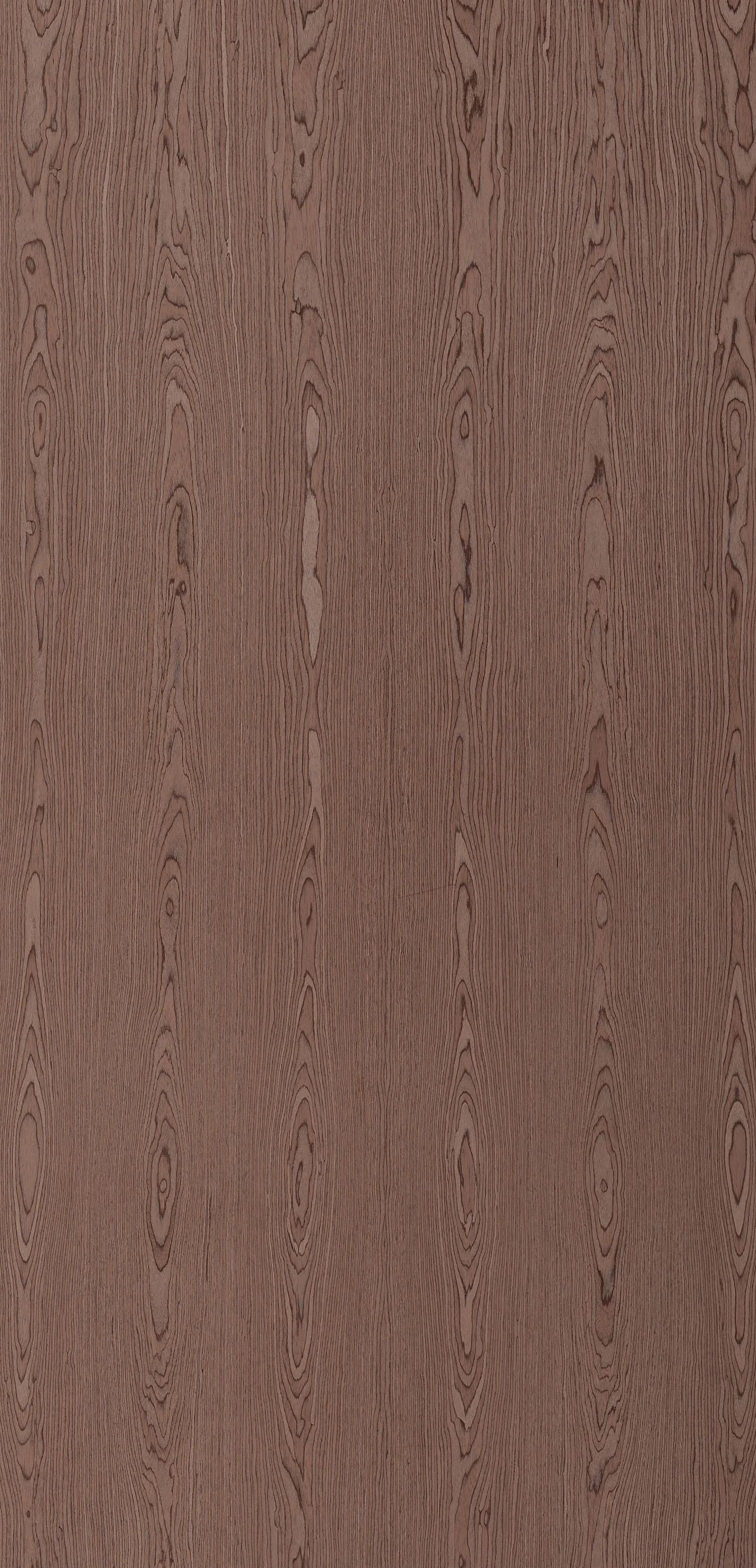 Lignum 10.02