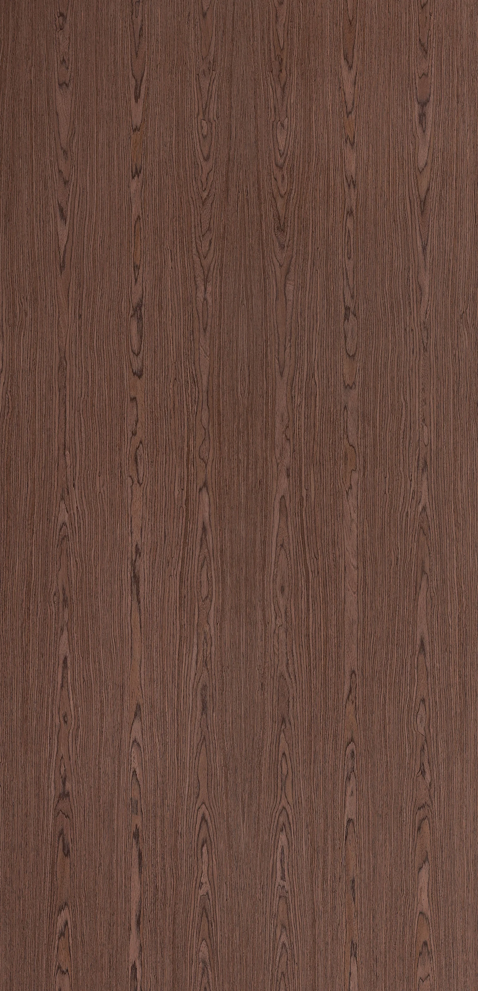 Lignum 10.04