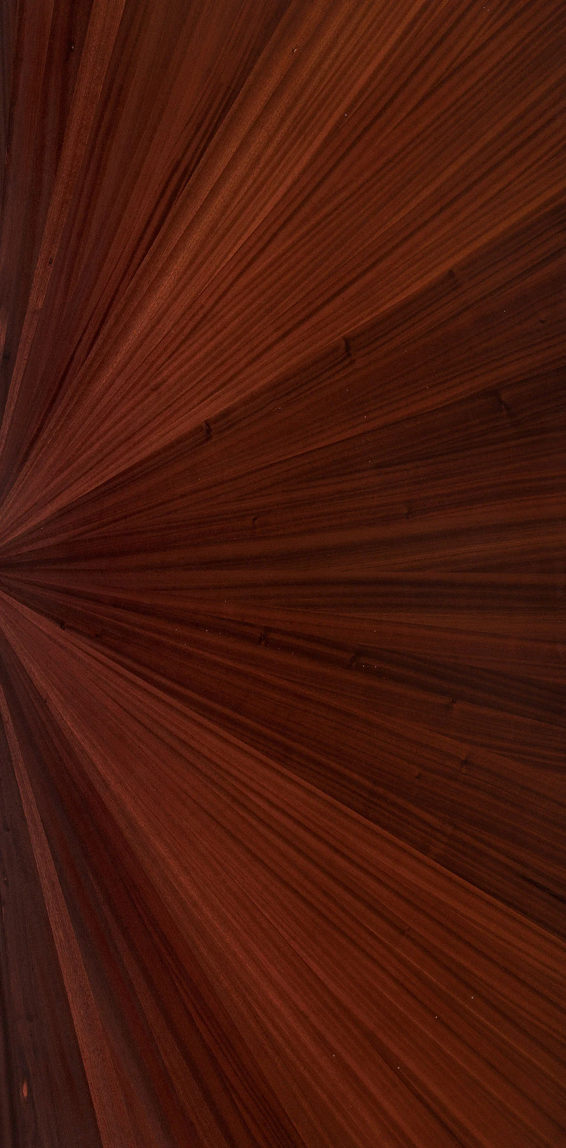Smoked Sapeli Half Sun