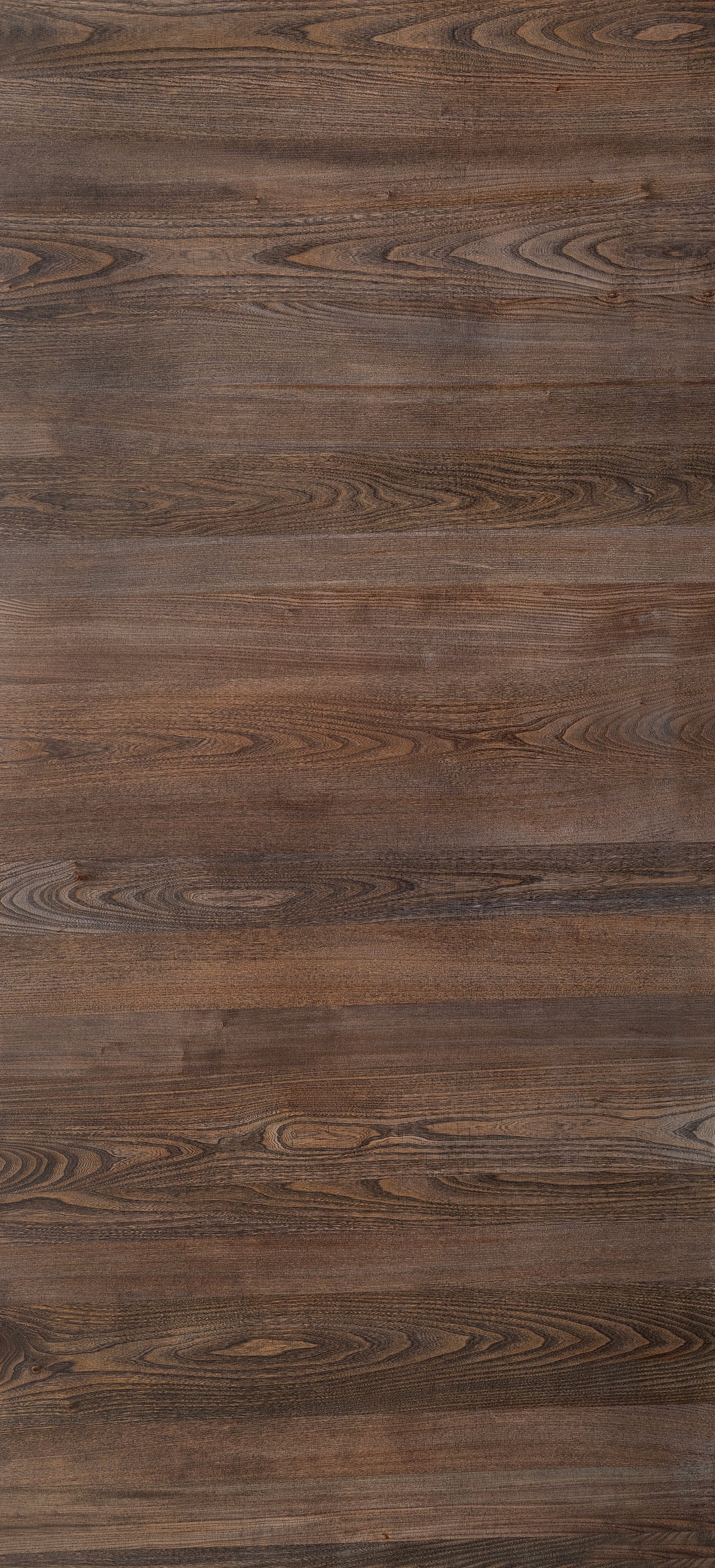 Nexa Elm Crown HZ