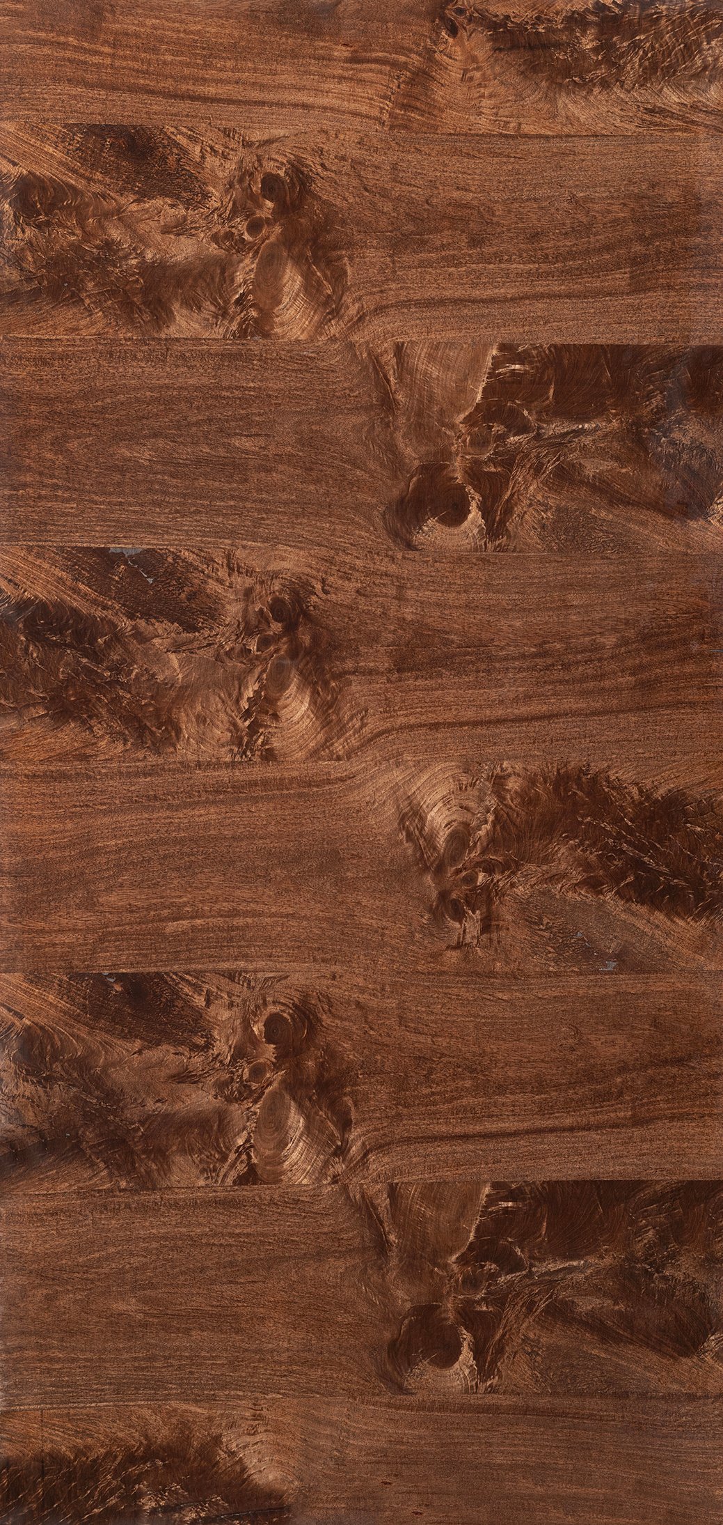Nexa Maple Crotch HZ