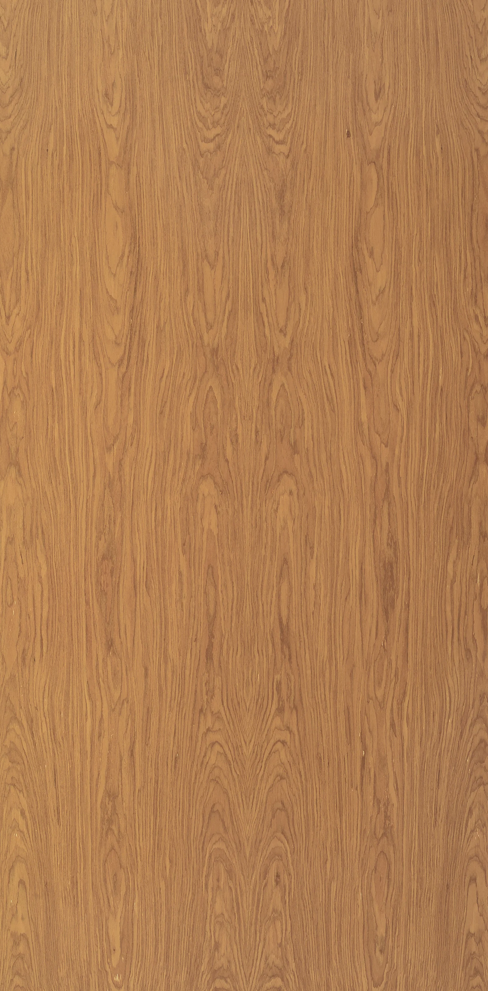 CRTK01 Grainless Teak