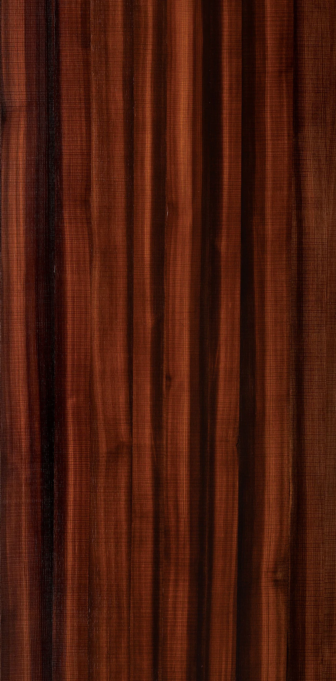 American Walnut Crown HZ Rough